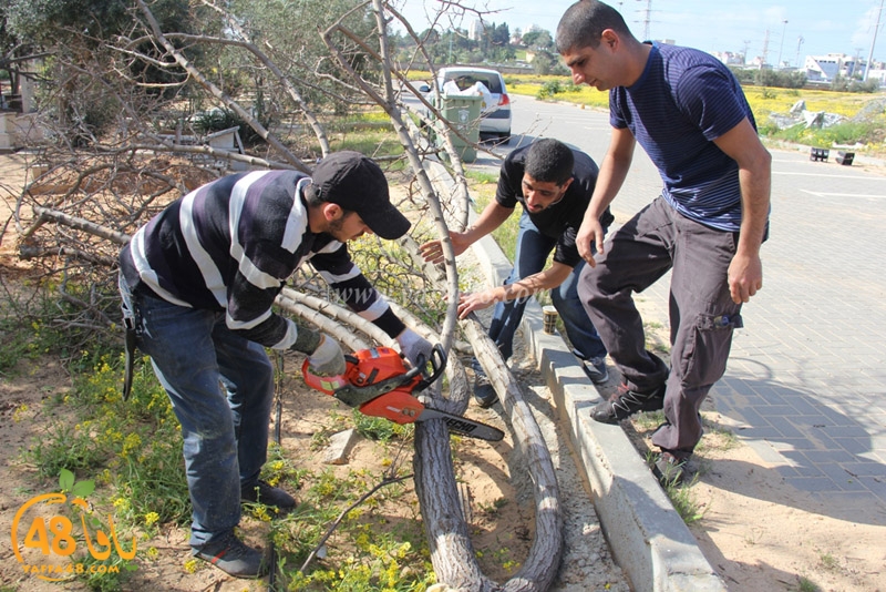 taso maqbfra (1).JPG